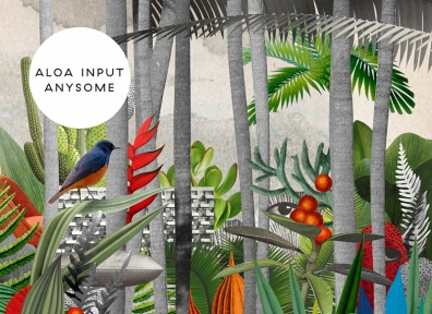 Review: Aloa Input – Anysome