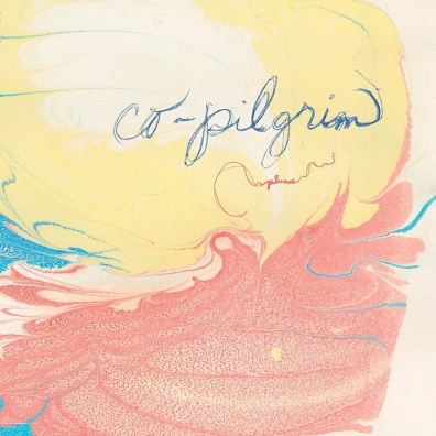 Review: Co-Pilgrim – Plumes