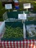 Garlic scapes at the Farmers Market. Photo: Amanda Rock