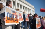 Signs were even printed out, giving a very organized feel to this rally. Photo: Garrett Allen Photography