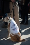 Many dogs joined their owners, toting messages similar to the children of being unable to play outside on the worst of days.  Photo: Garrett Allen Photography