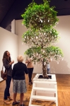 The "Wish Piece” from Yoko Ono (yes that same Yoko Ono) sits on display downstairs at the Utah Museum of Contemporary Art. Photo: Talyn Sherer