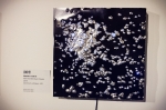 Matthew Allred from Epic brewing had a display of his own featured in the 12x12 gallery titled M11 The Wild Duck Cluster. Photo: Talyn Sherer