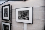 Photographic prints by Rich Caramadre. Photo: Martin S Rivero