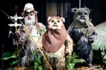 Yub Nub! Photo: Matt Brunk
