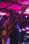 Bass player Nicholas Cody of Wild Moccasins. Photo: @LMSorenson