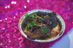 SALT Bistro came out swinging with this savory goat cheese crème brûlée consisting of sautéed red wine mushrooms, braised pork shoulder and micro greens. Photo: Talyn Sherer