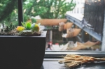 Some succulents and wheat soy in the window overlooking the patio below. Photo: Talyn Sherer