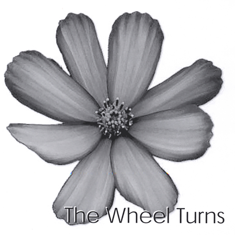 Local Review: Curious Birds – The Wheel Turns