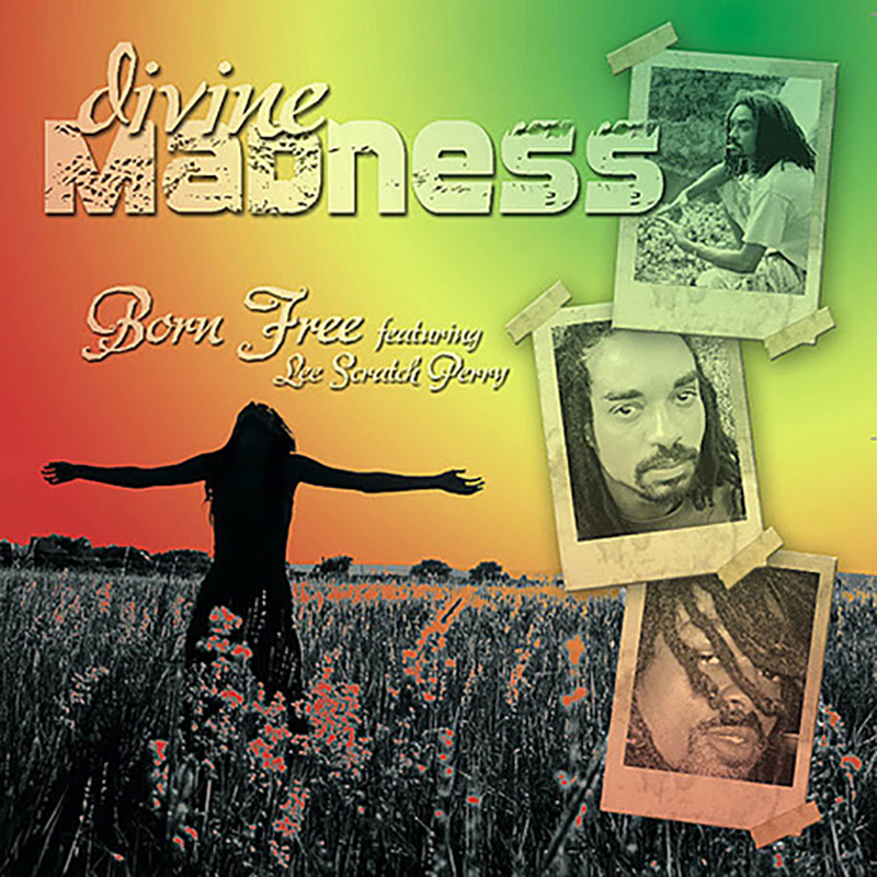 Local Review: Born Free – Divine Madness