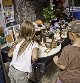 Girl and boy look at crafts laid out for display.