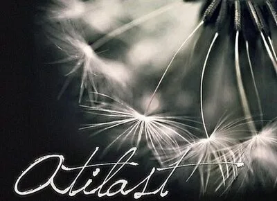 Local Review: Atilast – Atilast