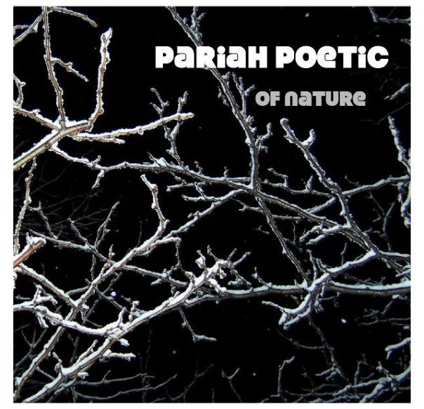 Local Reviews: Pariah Poetic