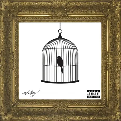 Album cover art for Bird In The Cage by m.duby.