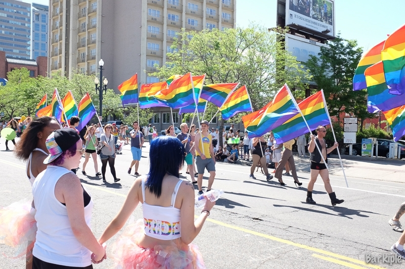 Pride Festival Recap