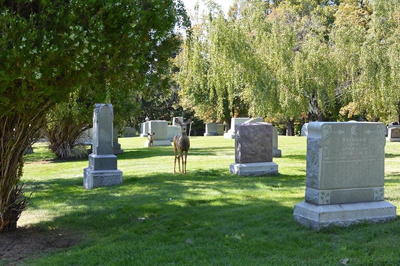 Into That Good Night: A Look At Salt Lake’s Graveyards