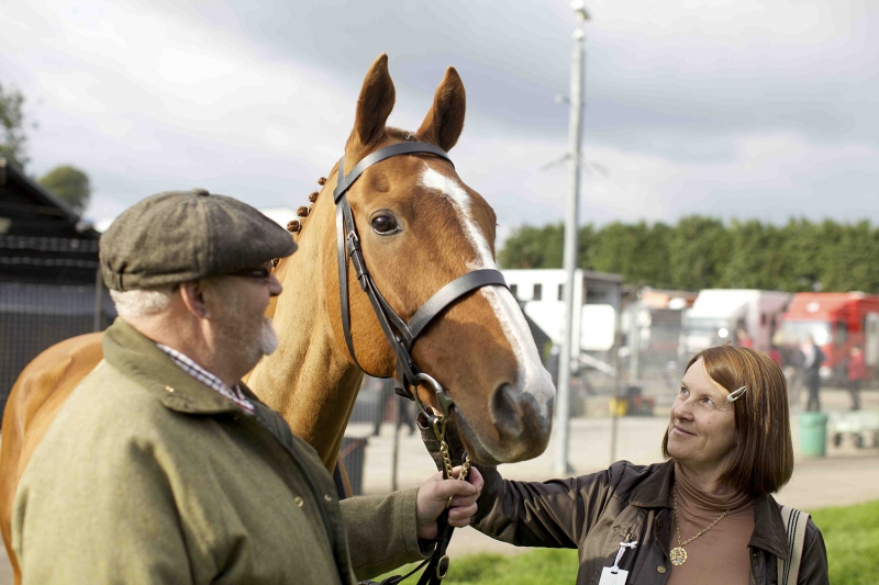 Sundance Film Review: Dark Horse