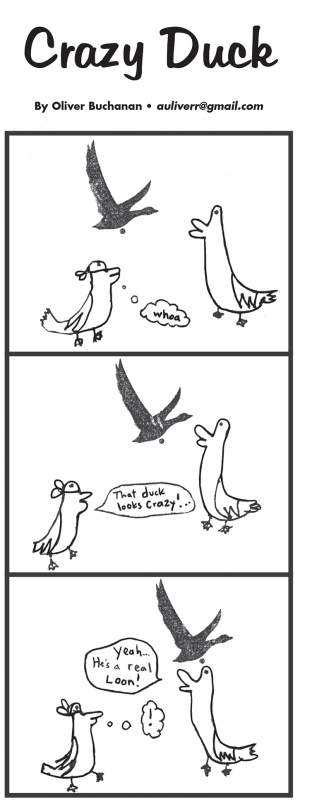 Oliver Buchanan Comic: Crazy Duck