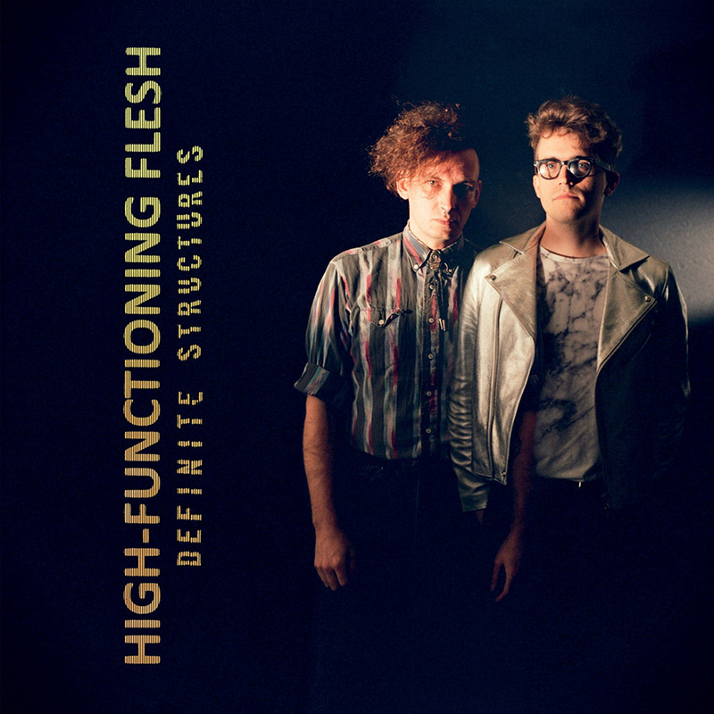 Review: High-Functioning Flesh – Definite Structures