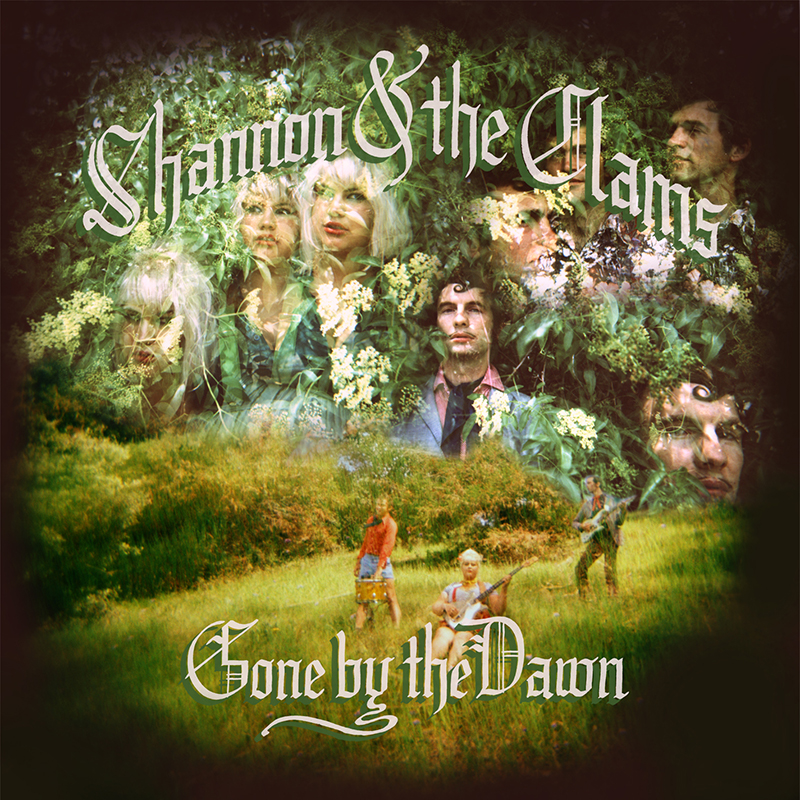 Review: Shannon and the Clams – Gone By The Dawn