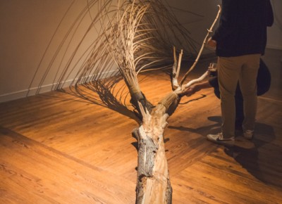 Two art connoisseurs pay their respects to the fallen tree display provided by Shawn Porter paired with the Bobcat Nut Brown by Red Rock Brewing. Photo: Talyn Sherer