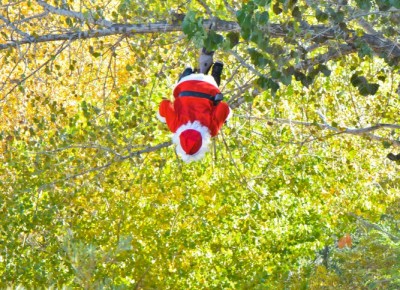 Jonesy said, "Rudolph had too much eggnog last night," after sending this backflip. Photo by Andy Fitzgerrell