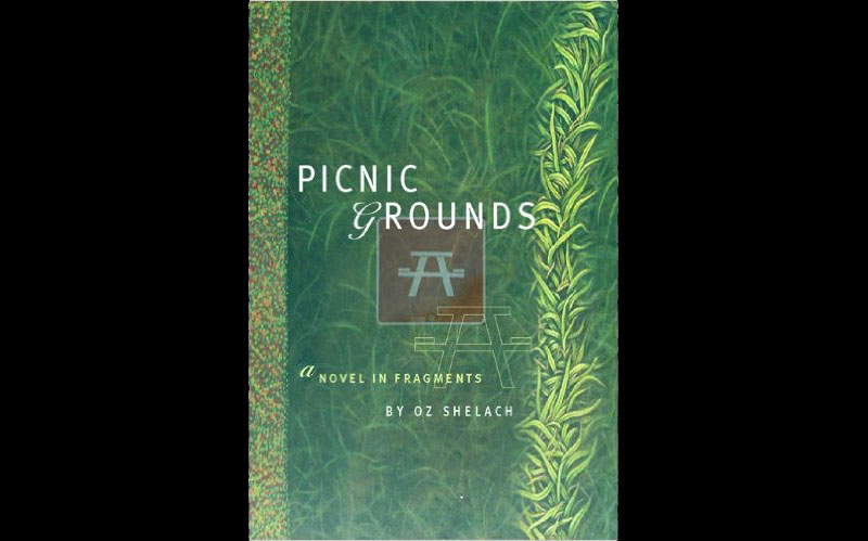 Review: PICNIC GROUNDS: A NOVEL IN FRAGMENTS – OZ SHELACH