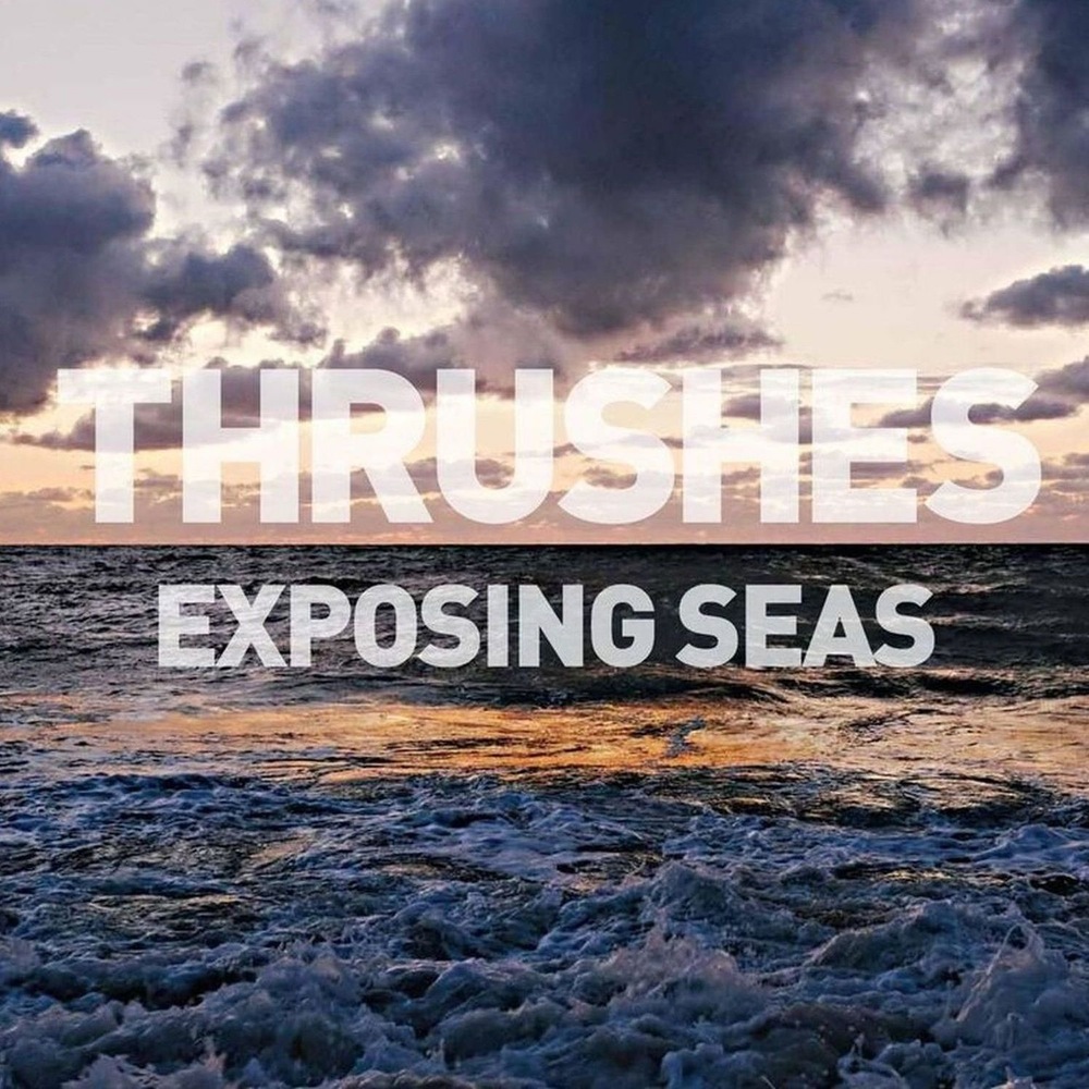 Review: Thrushes – Exposing Seas