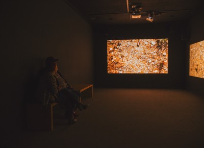 Yoshua Okón's "Oracle" plays out on the three screens inside a secluded room as a couple gazes in awe at its abstract meaning. Photo: talynsherer.com