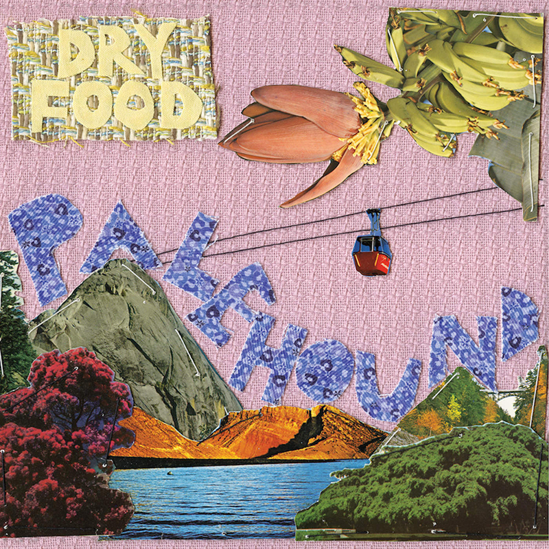 Review: Palehound – Dry Food