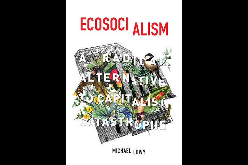 Review: Ecosocialism: A Radical Alternative To Capitalist Catastrophe