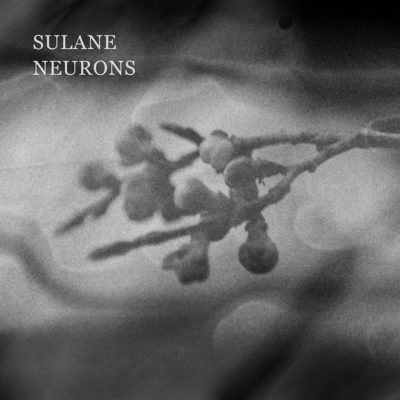 Sulane | Neurons | Inkjar Records