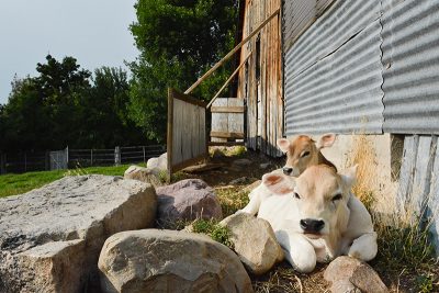 Photo: Andy Fitzgerrell