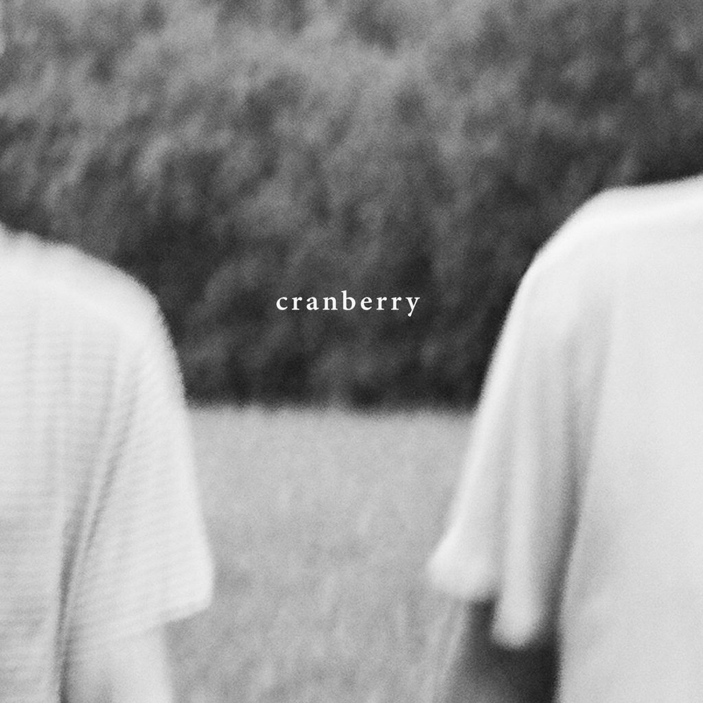 Review: Hovvdy – Cranberry