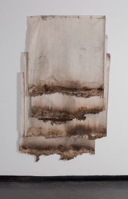 Kelly Larsen, Soil Soak (2018).