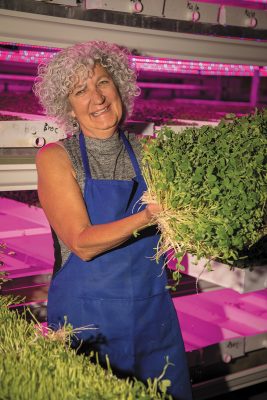 Strong Vertical Gardens’ Debbie Strong implements sustainable hydroponic farming practices to produce local greens. Photo: John Barkiple