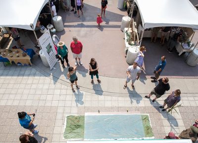 A bird’s eye view of a sun printed cyanotype.