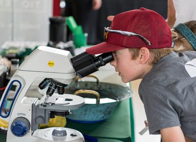 Curious eyes look into another world underneath the microscope.