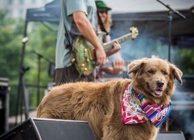 Cocoa walks the stage as Stick Figure jams.