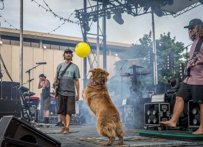 Cocoa goes crazy after a balloon floats onto stage.