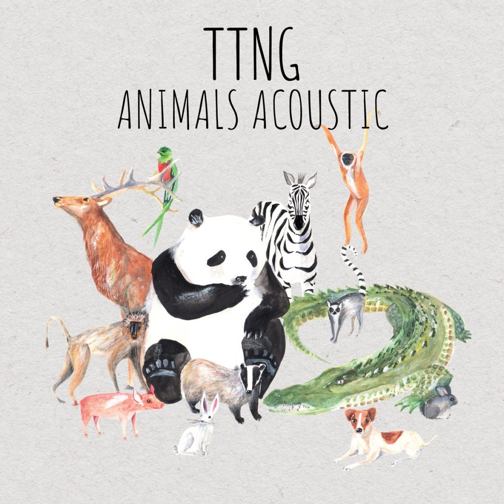 Review: TTNG – Animals Acoustic