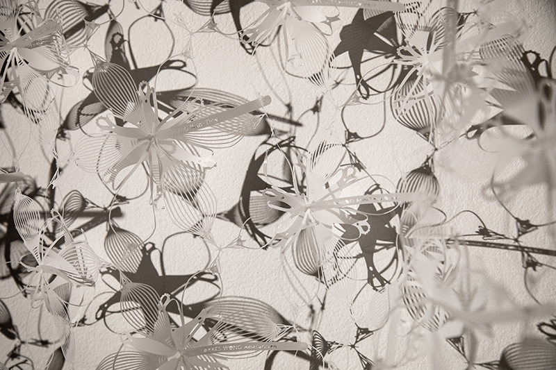 Information Density, Every Attempt 1998 and Every Attempt 2017. Photo: John Barkiple.