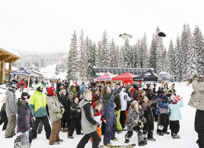 Fans cheering for the participants