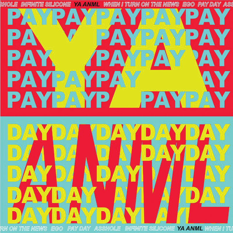 Local Review: YA ANML – Payday