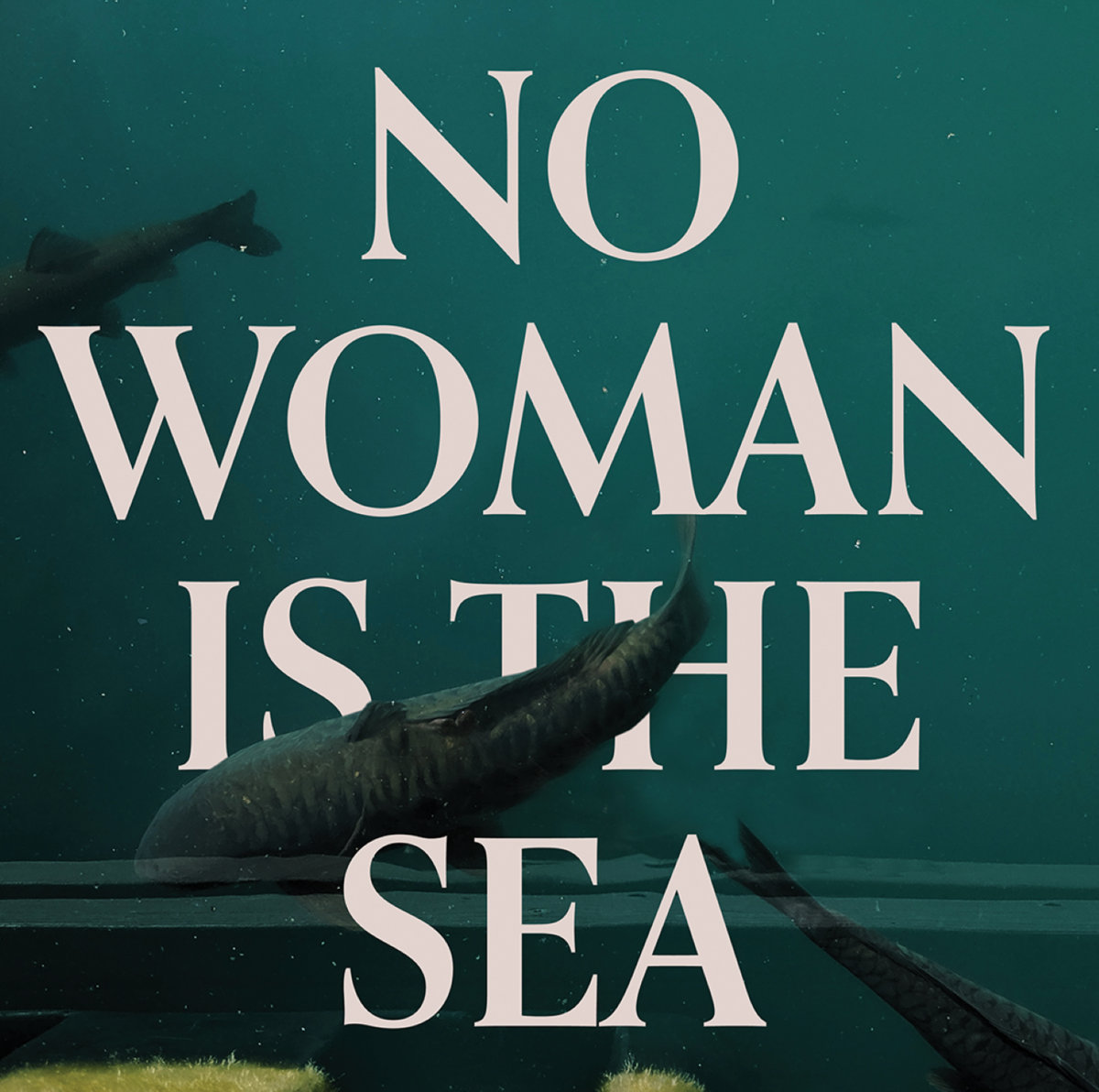 Josaleigh Pollett | No Woman Is The Sea 