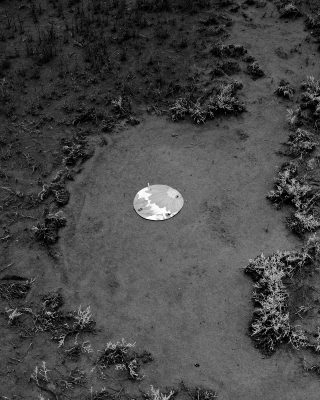 Levi Jackson, Bad Seed, 2019, Paper, Wood Inkjet Print, 44x35”, from Jackson’s portfolio.