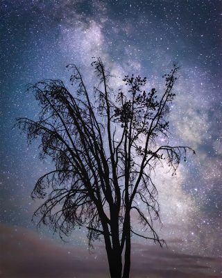 Christine Kenyon, Milky Way Magic, 2018.