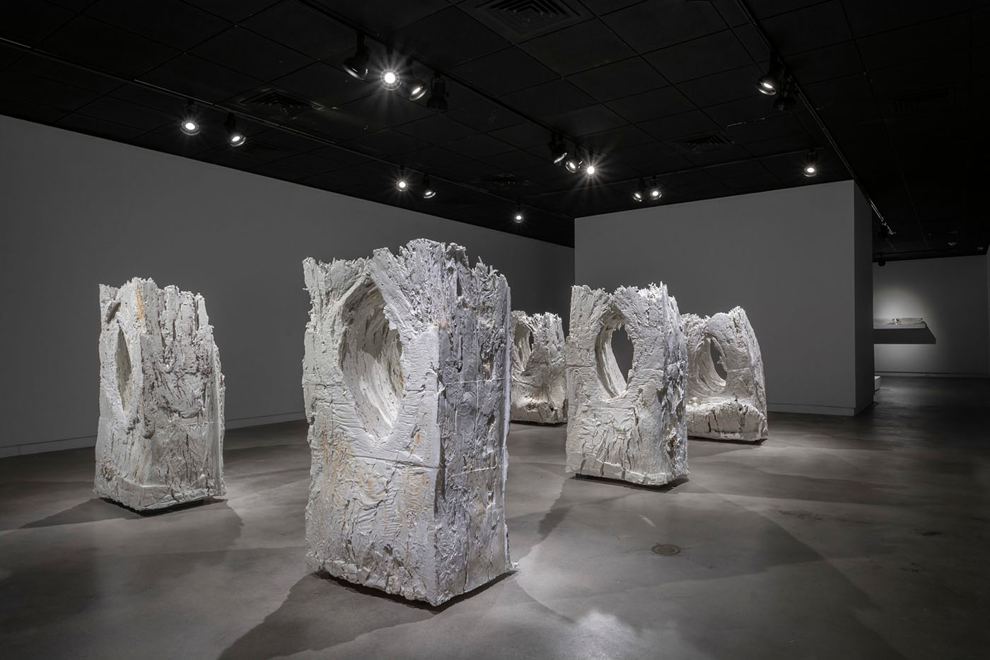 The uniqueness of Brad Evan Taylor's Growing Rocks relies on the relationship between time, nature and our own knowledge.