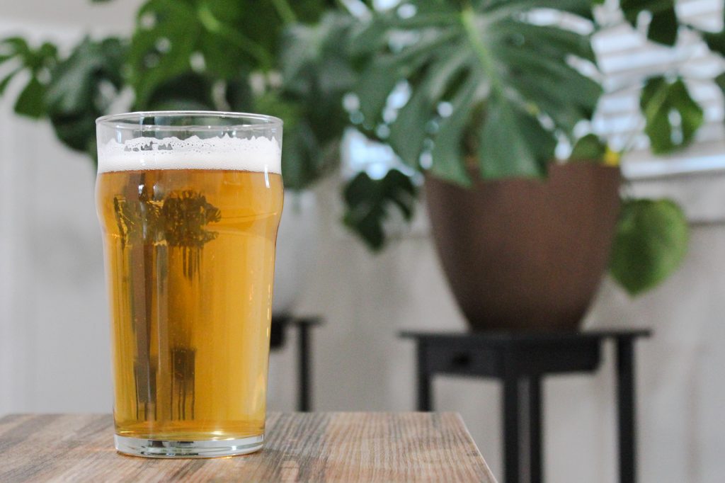 Beer of the Month: This is the Pilsener