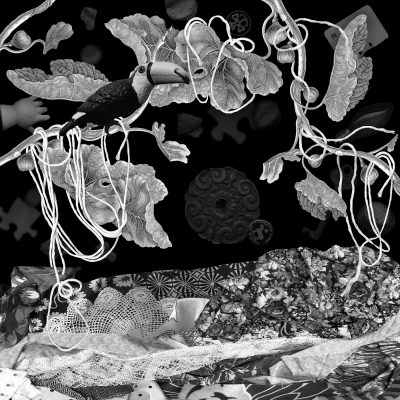 Toucan in Fig, 2019, 30x30, digital collage.